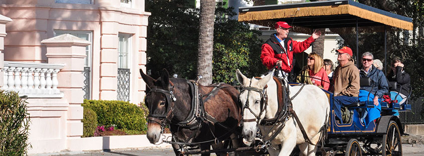 Book a discounted Charleston Carriage Tour of the downtown historic district.