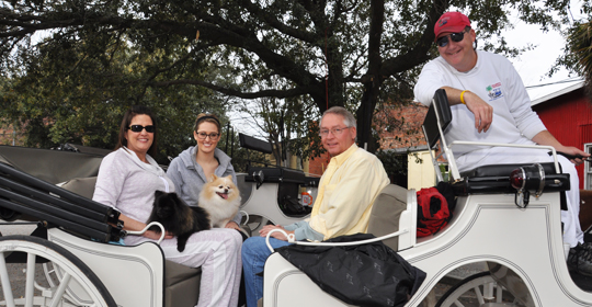 A dog joins its owners in taking a Palmetto Carriage tour private tour of the downtown historic district.