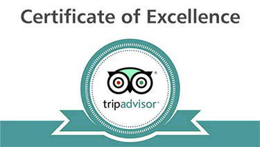 Trip Advisor Certificate Of Excellence Turquoise 375