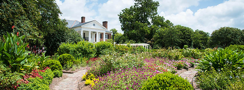 Boone Hall Plantation House from the garden. © 2017 Audra L. Gibson. All Rights Reserved.