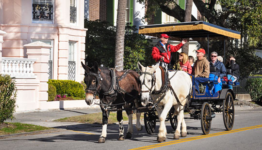 Kem, a tour guide for Palmetto Carriage Works, drives his carriage along the Charleston Battery.