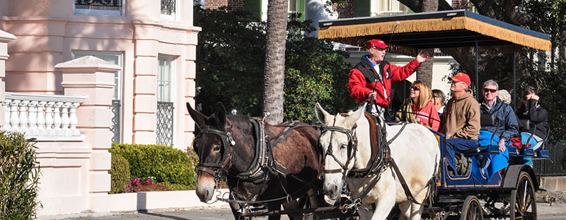 Charleston carriage tours are highly recommended to travelers visiting Charleston for the first time. © Audra L. Gibson. All Rights Reserved.