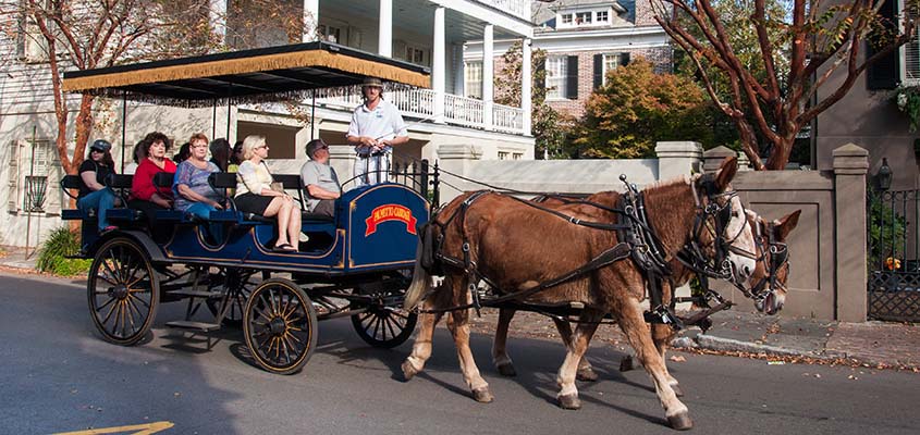 Carriage tour of downtown Charleston, SC © Audra Gibson. All Rights Reserved.