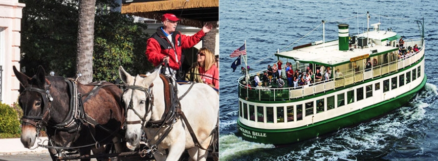 Enjoy a carriage tour and harbor tour for one low price.